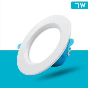Factor Clark Series Downlight