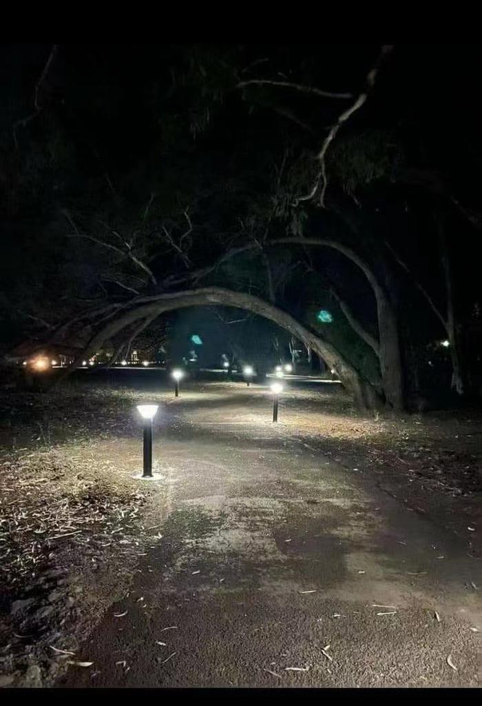 Solar Bollard Light 10w - Image 3