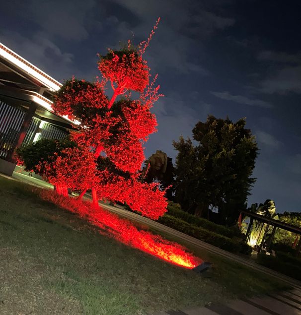 RGB Solar Flood Light 500w - Image 3