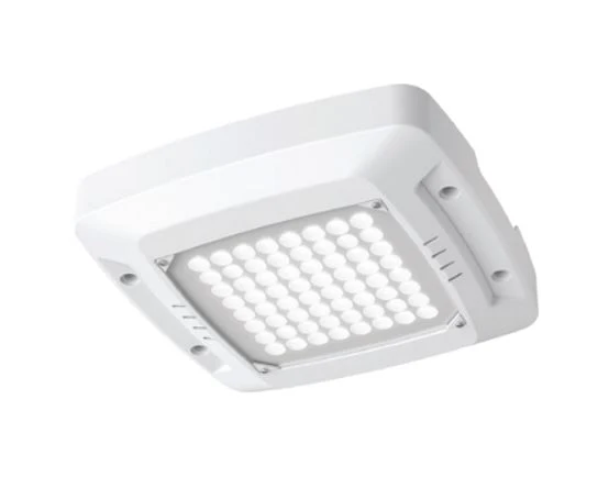 Coarts Lighting Canopy Led Downlight
