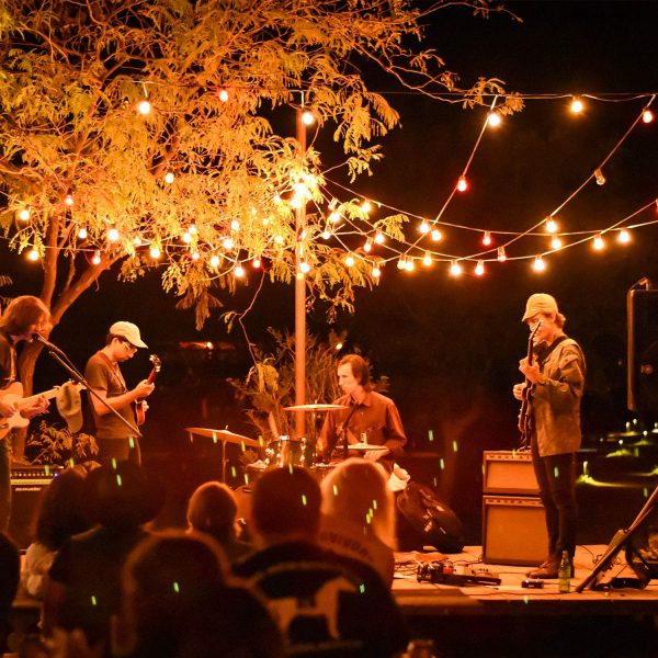 Solar String Bulb Light - Image 3