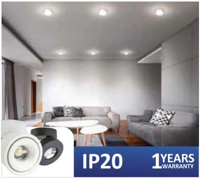 Innova Surface Downlight