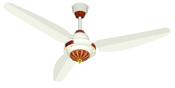 Antique Model | Eco-Smart 30 Watt - Image 4