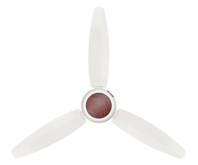 Ovate Metal Model | Eco-Smart 30 Watt